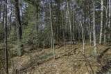 Off Natural Springs Rd - Photo 7
