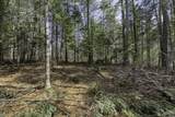Off Natural Springs Rd - Photo 8