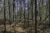 Off Natural Springs Rd - Photo 9