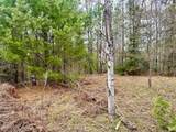 2 Acres St Louis Rd - Photo 6