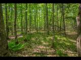 Lot 23 Bonita Pt - Photo 1