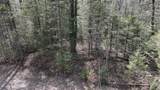 ON Little Papoose Rd - Photo 5