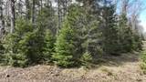 ON Little Papoose Rd - Photo 9