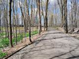 N16517 Lakeshore Dr - Photo 28