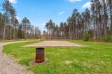 15740 Tree Farm Rd - Photo 54