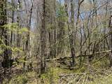 0 Vascheau Rd - Photo 4