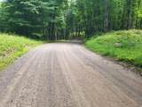 5 AC Sylvan Isle Dr - Photo 10