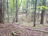 5 AC Sylvan Isle Dr - Photo 12