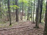 5 AC Sylvan Isle Dr - Photo 4