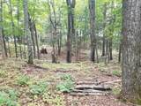 5 AC Sylvan Isle Dr - Photo 5