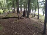 5 AC Sylvan Isle Dr - Photo 6