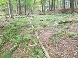 5 AC Sylvan Isle Dr - Photo 7