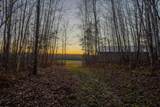 4434 Running Bear Ln - Photo 41
