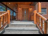 13734 Chrissie Ln - Photo 40