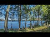 13734 Chrissie Ln - Photo 75