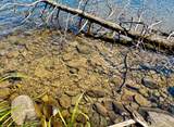ON Beatons Lake Rd - Photo 12