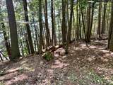 ON Beatons Lake Rd - Photo 8