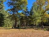 Lot 1 Bear Run Ln - Photo 12