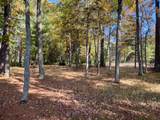 Lot 1 Bear Run Ln - Photo 16