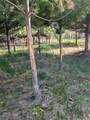 N7898 Fedyn Rd - Photo 36