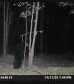 N7898 Fedyn Rd - Photo 64