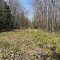 14154 Upper Rd - Photo 43