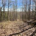 14154 Upper Rd - Photo 46