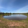 14154 Upper Rd - Photo 49
