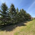 14154 Upper Rd - Photo 55