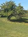 14154 Upper Rd - Photo 84
