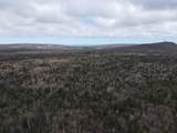 OFF Black River Rd - Photo 11