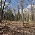 OFF Black River Rd - Photo 19