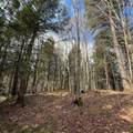 OFF Black River Rd - Photo 23