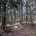 OFF Black River Rd - Photo 24