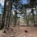 OFF Black River Rd - Photo 25