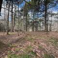 OFF Black River Rd - Photo 26