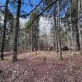 OFF Black River Rd - Photo 27