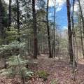 OFF Black River Rd - Photo 28