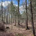 OFF Black River Rd - Photo 29