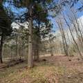 OFF Black River Rd - Photo 30