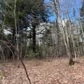 OFF Black River Rd - Photo 31