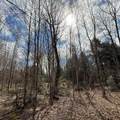 OFF Black River Rd - Photo 32