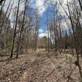 OFF Black River Rd - Photo 33
