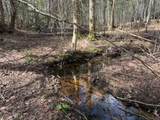 OFF Black River Rd - Photo 4