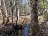OFF Black River Rd - Photo 6