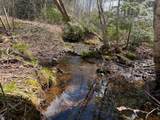 OFF Black River Rd - Photo 7