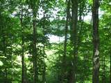 Lot 3 Fisher Lake Rd E - Photo 6