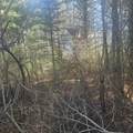 4908 Old 8 Rd - Photo 23