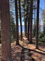 12755 Duner Point Ln - Photo 7