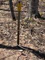 TBD 519 RD N - Photo 18